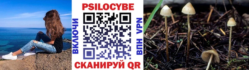 Псилоцибиновые грибы GOLDEN TEACHER  продажа наркотиков  Туринск 